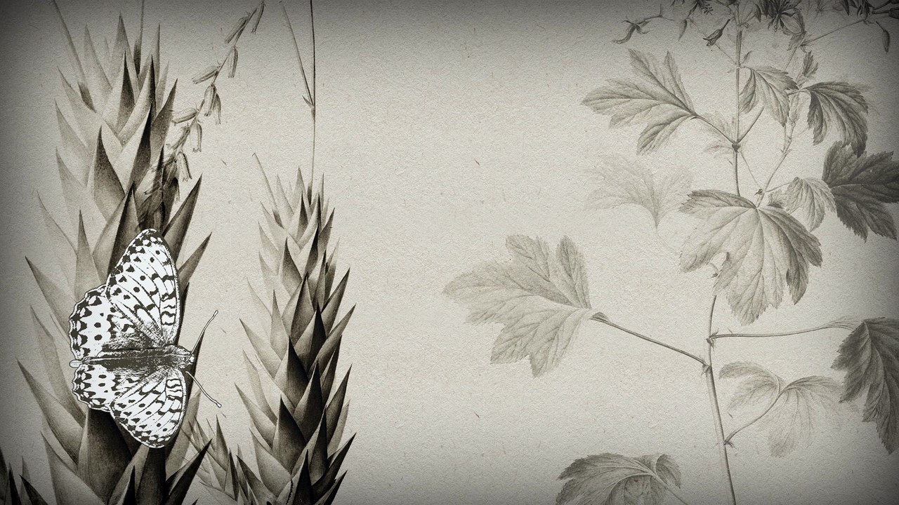 Exposition Pierre-Joseph Redouté, Le pouvoir des fleurs