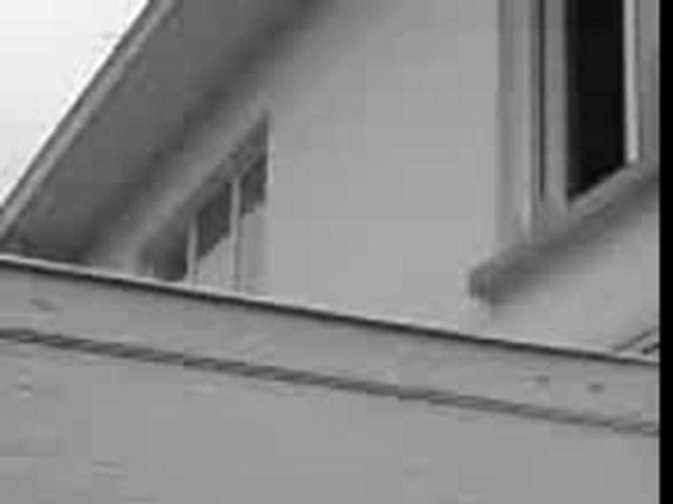 MOV00005