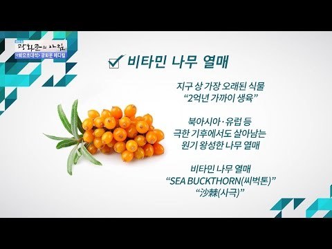 비타민 나무 열매란? [광화문의 아침] 333회 20161011