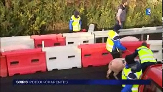 Soir 3 Poitou-Charentes du 13 janvier 2016 [INTEGRALE]
