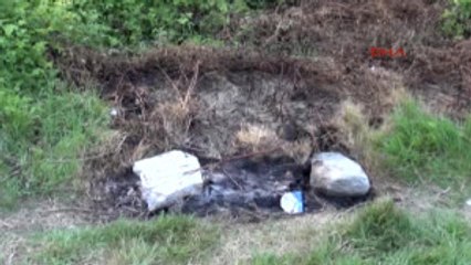 Sakarya Nehri'ne Düşen Genç Kayboldu