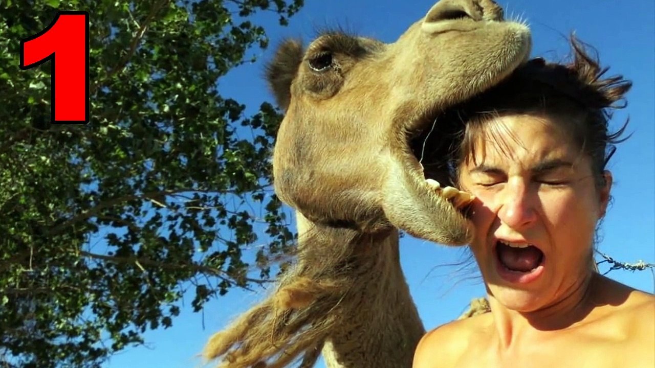 8 Selfies que acabaram dando totalmente errado