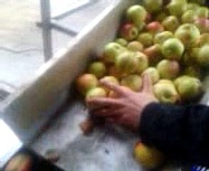 Pressage de POMMES Atelier de Clotilde 1ere Campagne 2015...Que de chemin parcouru depuis!!!