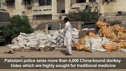 China-bound illegal donkey hide haul seized in Pakistan