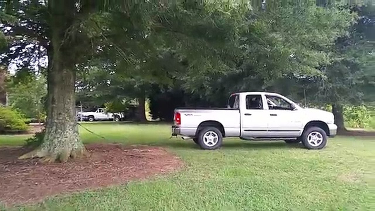 Il tente de déraciner un arbre avec sa camionnette, mais ne quittez pas le tronc des yeux!