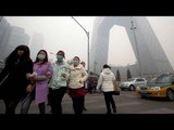 Chinese capital Beijing issues 'red alert' due to air pollution