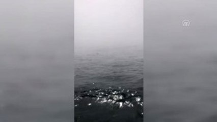 Rus Askerlerine Zamanla Yarışılan Kurtarma Operasyonu