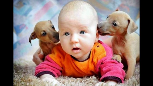 Funny Babies Funny Baby Funny Videos Funny Babies Laughing Compilation 2015 #1
