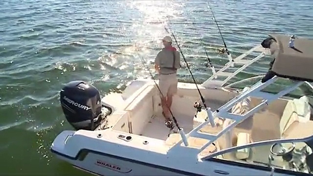 Boston Whaler 230 Vantage