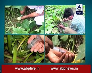 Are we eating healthy fruits and veg? Just watch and decide.