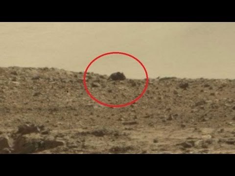 Alien Hunters Spots Giant Mouse on Mars