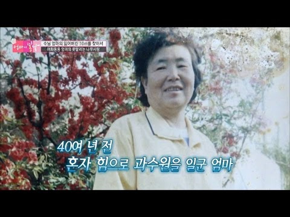 혼자 힘으로 과수원을 일군 엄마 [엄마의 봄날] 62회 20161009