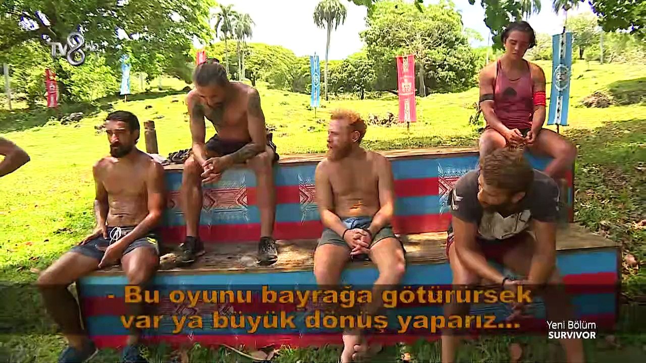 SV 74x3.CUT.00'04-19'16