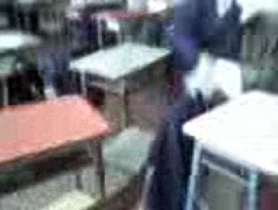 Video0002323 (6)