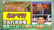 めざましテレビ　アクア 2 2   2017年04月25日 170425 (9) part 1/2