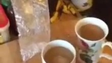 il frottent du piment sur le bord de la tasse de café de leur pote