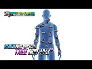 내 몸의 보스세포로 암을 치료한다?! [내 몸 사용설명서] 123회 20161007