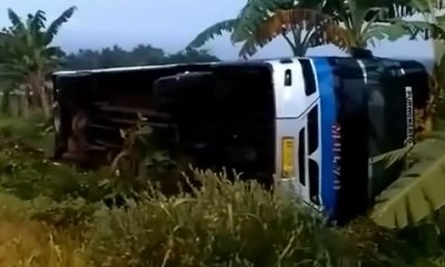 Hindari Tabrakan, Bus Solo-Purwokerto Masuk Sawah