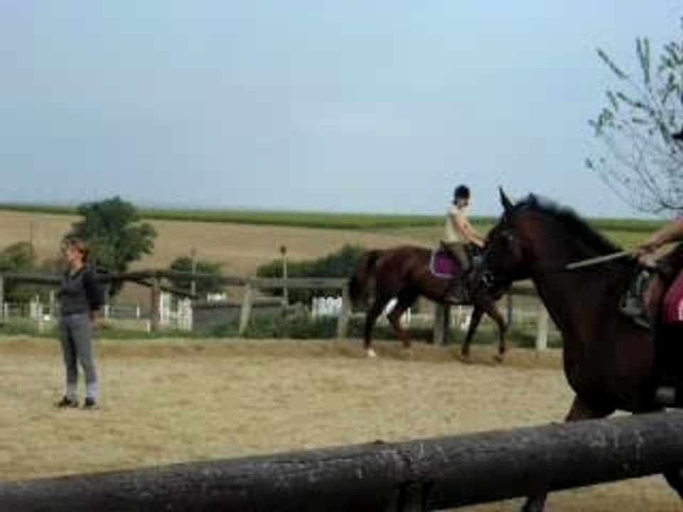 DSCN0198