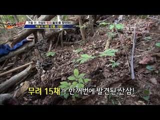 산삼을 15채나 한꺼번에 발견했다?! [뉴 코리아 헌터] 18회 20161005