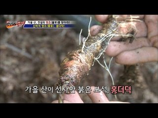 일반 더덕과는 차원이 다른 홍더덕! [뉴 코리아 헌터] 18회 20161005