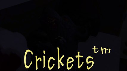 crickets