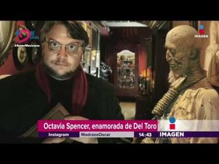 Octavia Spencer desea trabajar con Del Toro