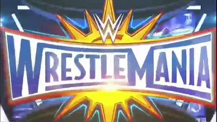 WWE Becky Lynch vs Natalya