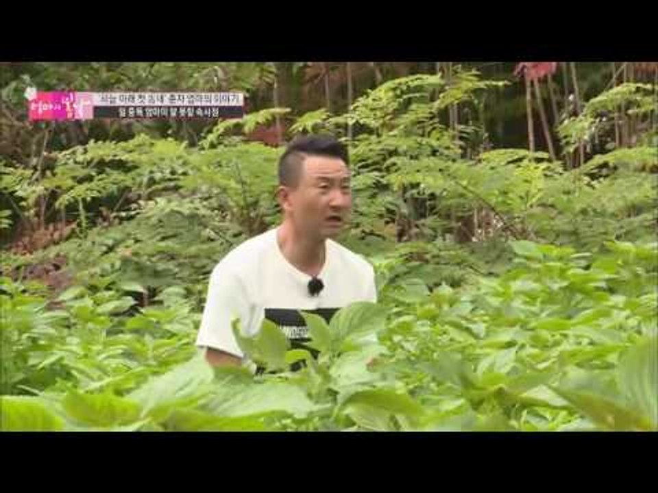 춘자 엄마를 돕자! 봄날지기의 활약! [엄마의 봄날] 61회 20161002