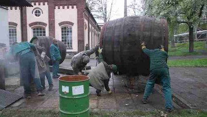 Toneles de Pilsen para asegurar la cerveza original