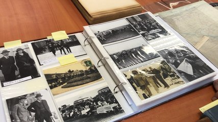 Fonds cheval à la médiathèque