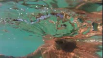 Under water view of girls swimming. Very nice video.