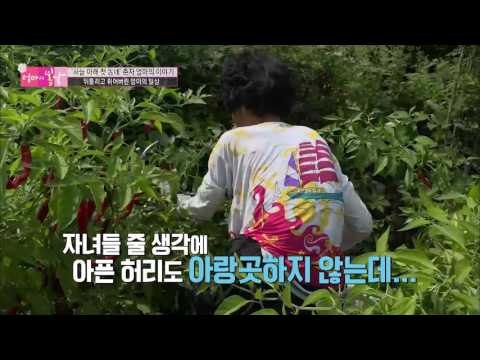 아픈 허리를 참고 일하는 엄마 [엄마의 봄날] 61회 20161002