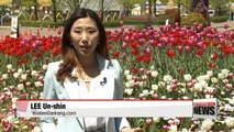 Botanical sanctuary in city: Goyang International Flower Festival