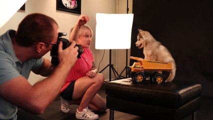 Get Wild Studios Pet Photography