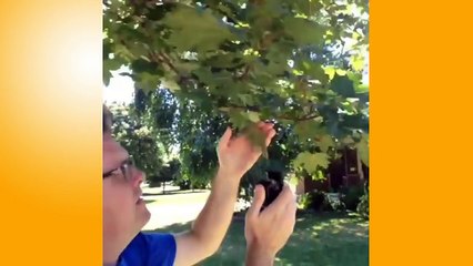 Funny Videos That Make You Laugh So Hard You Cry Funny Baby Videos