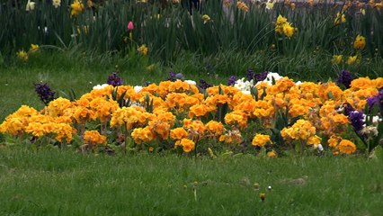 Teesside News 8:30pm - 26th April