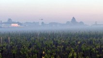 Des hélicoptères au-dessus des vignes de Saint-Emilion