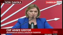 CHP Referandum İçin AİHM'e İtiraz Başvurusu Yaptı