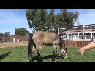Robert Garcia Has a stand up comic visit him at the gym - EsNews Boxing