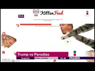 Trump contra los arañazos de una adolescente