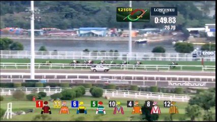 香港カップ2016 最強マイラーが香港3勝目で引退レース!