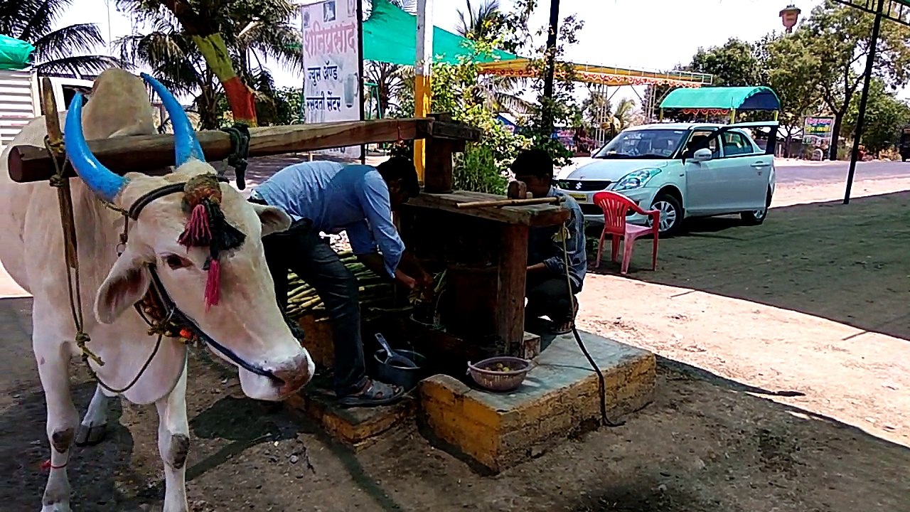 TREDITIONAL SUGAR CANE JUICE, SHANI SHINGANAPUR