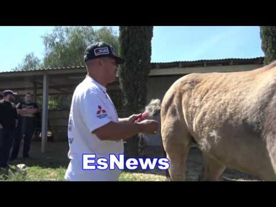 Robert Garcia: It's Very Relaxing To Care Of A Horse - EsNews Boxing