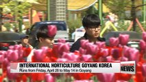Botanical sanctuary in city: Goyang International Flower Festival