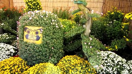 まるで犬神家の一族‼ 菊人形がインパクト大の菊まつり(文京区の湯島天神)