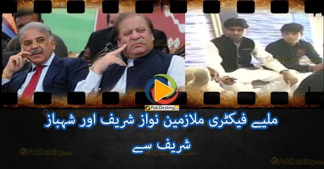 Meet Factory Workers Nawaz and Shahbaz Sharif