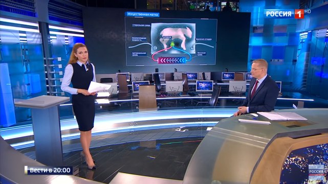 Ищем ВКонтакте ведущих телеканала Россия 24 при помощи FindFace