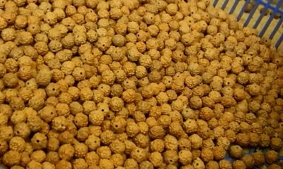 Kerajinan Jenitri Bernilai Jual Tinggi