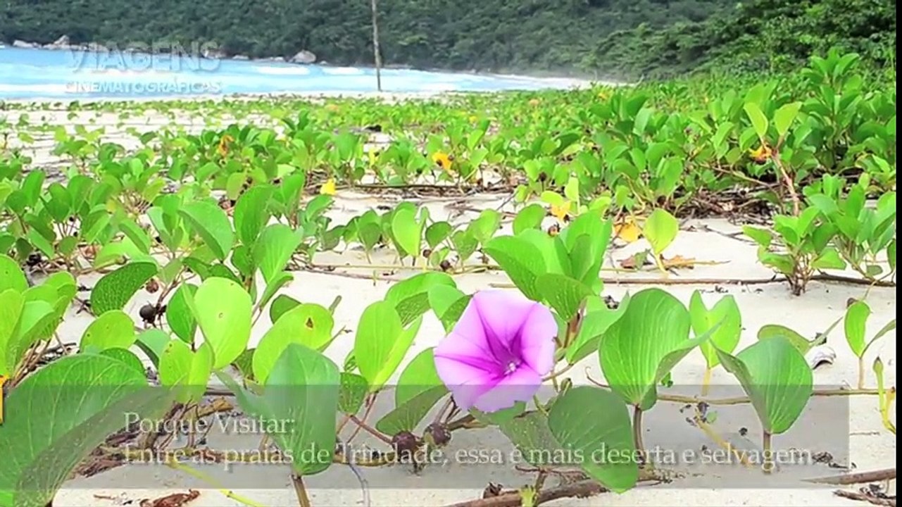 Top 10 Melhores Praias do Rio de Janeiro